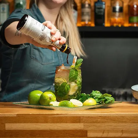 Novotel Centre Gares فندق ليل